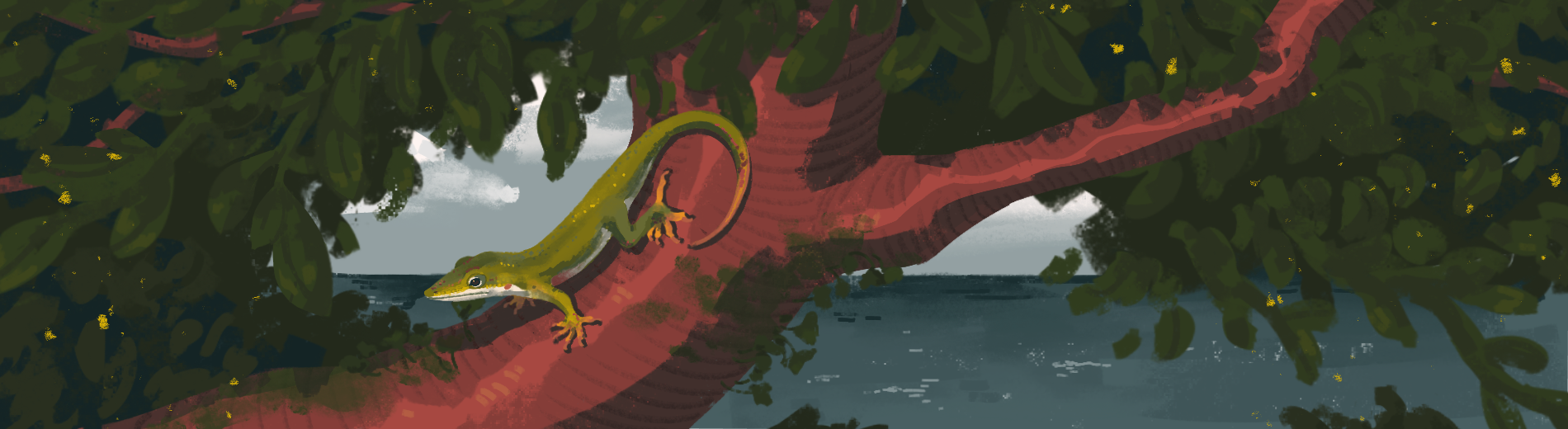 Anole & Small Lizard