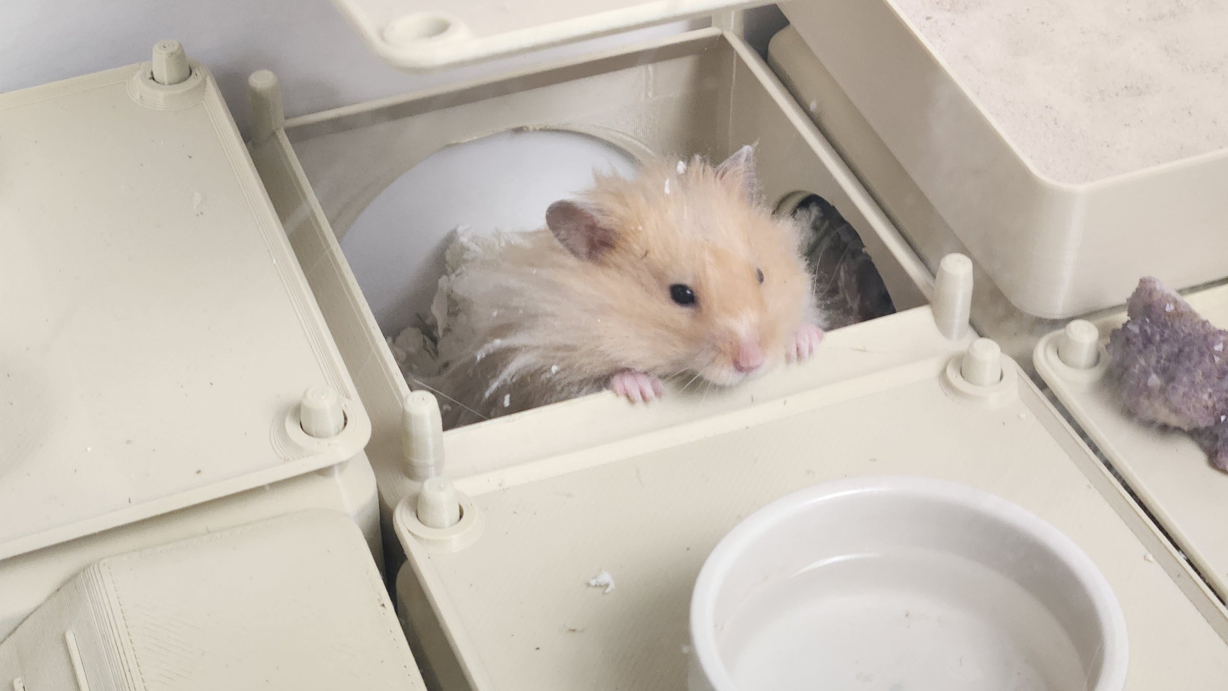 A burrow that changes shape.