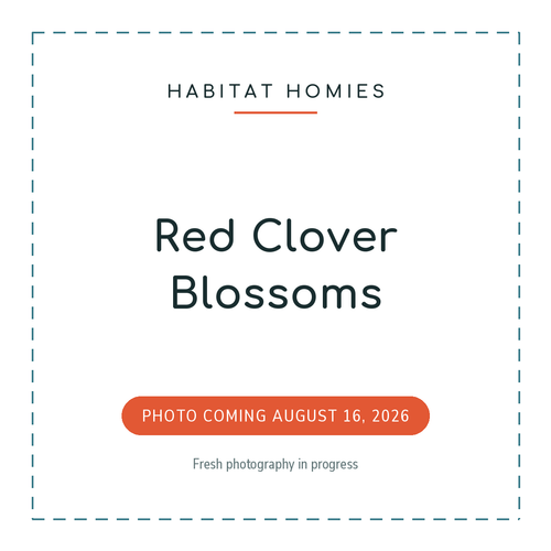 Red Clover Blossoms. Product photo coming August 16, 2026.