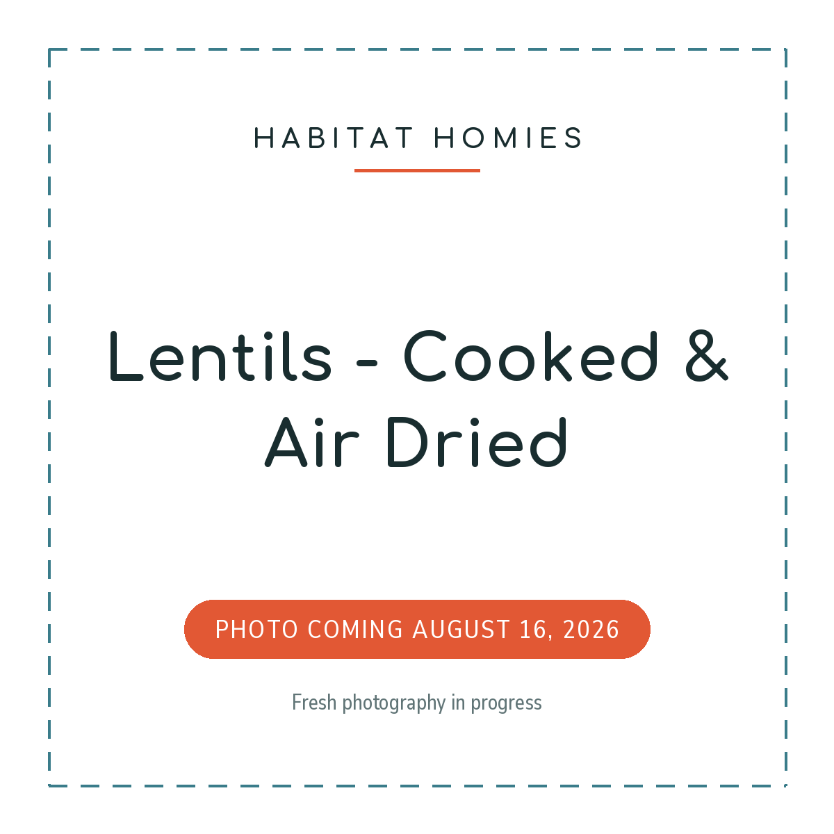 Lentils, cooked and air dried. Product photo coming August 16, 2026.