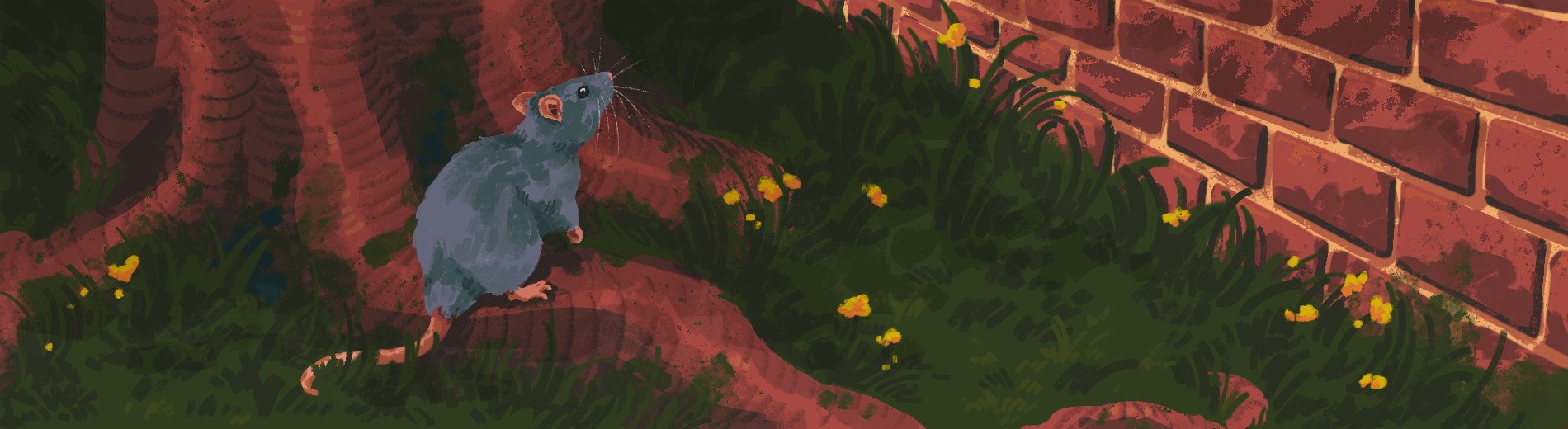 Rat