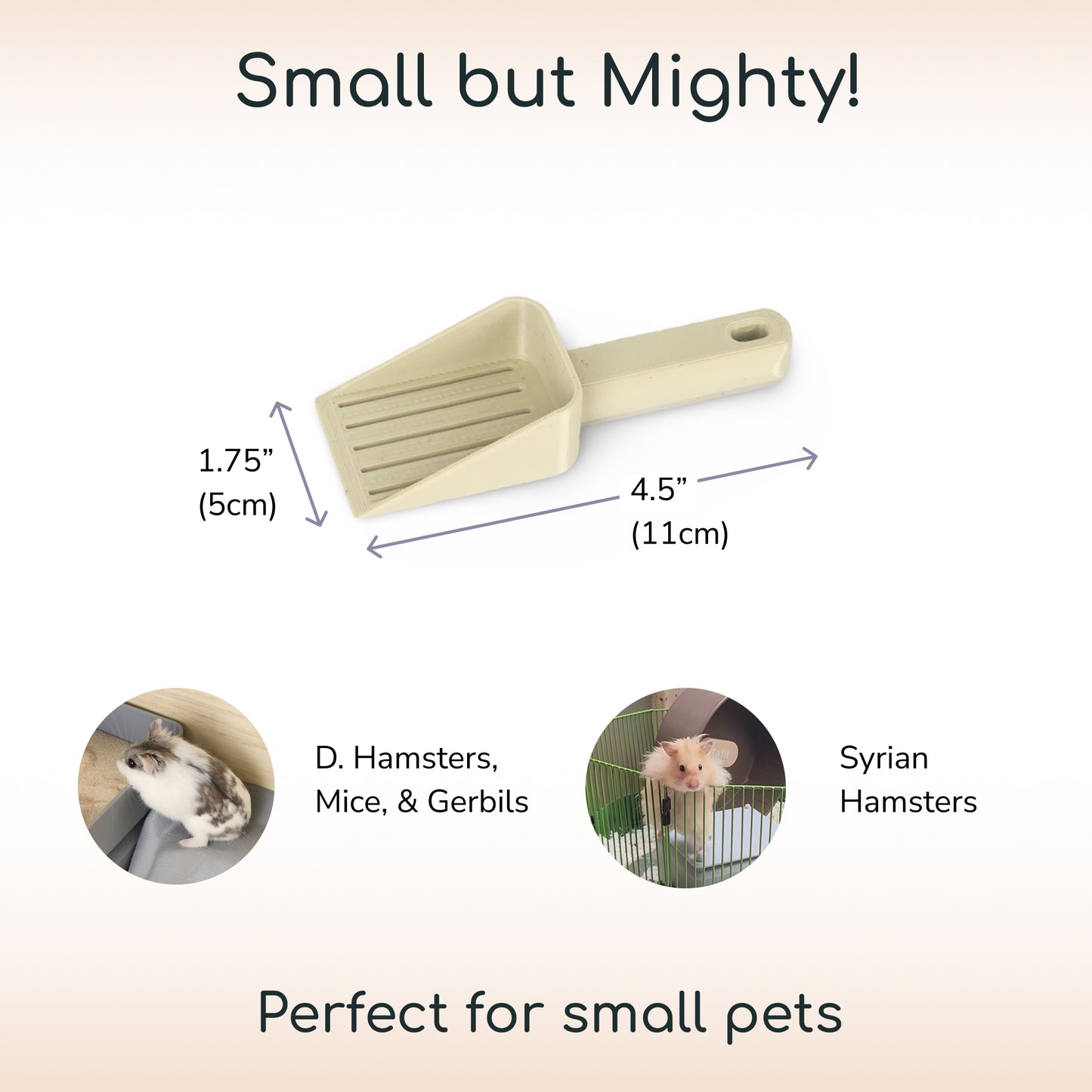 Small Scooper