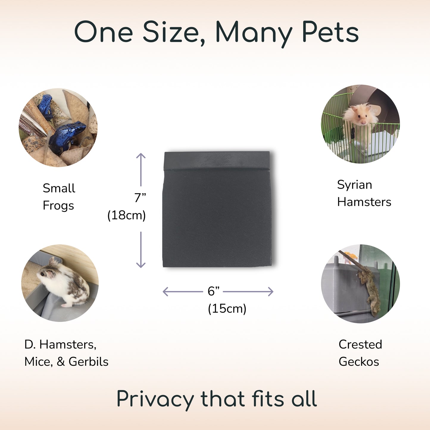 Privacy Screen