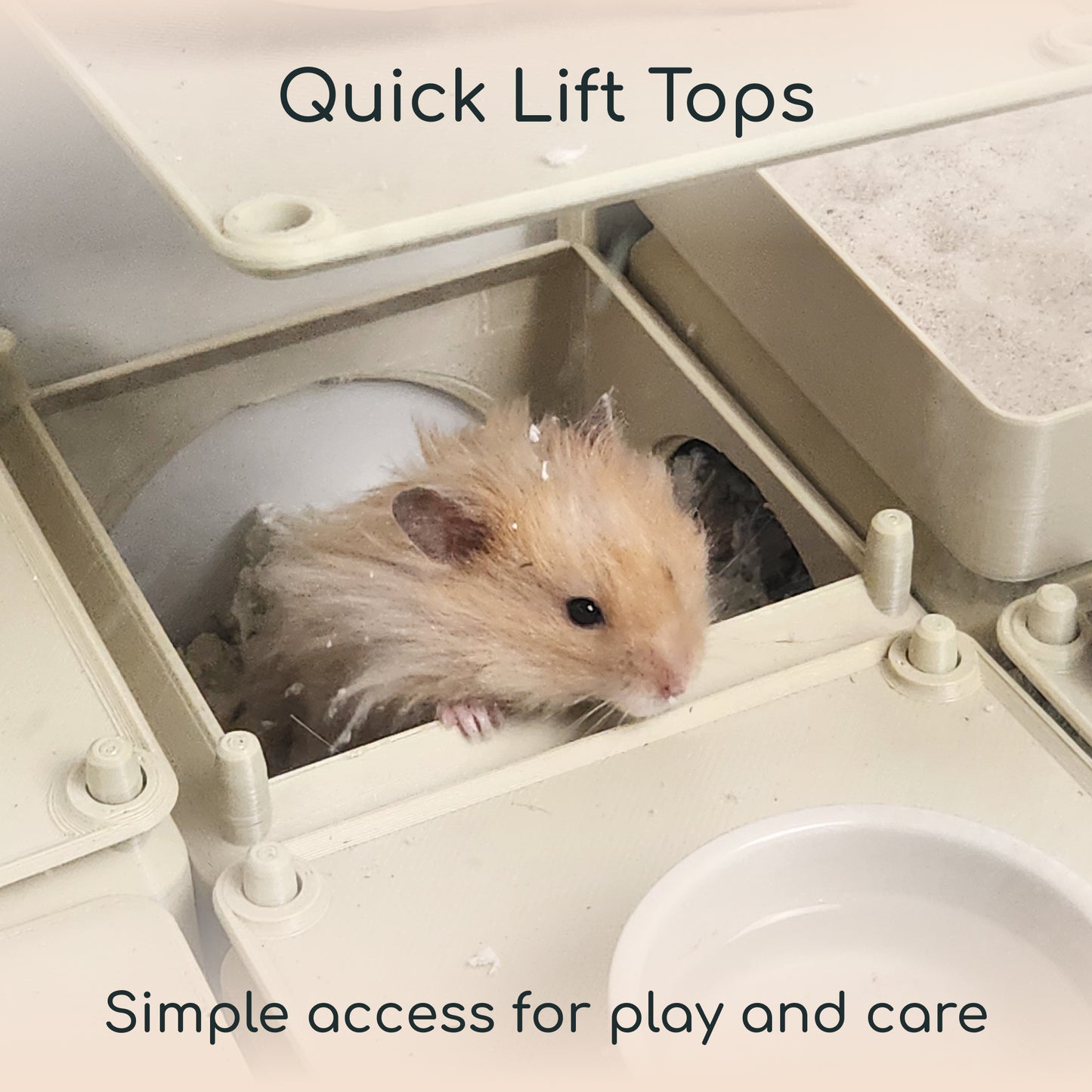 Homie Kit - Dwarf Hamsters, Mice, & Gerbils