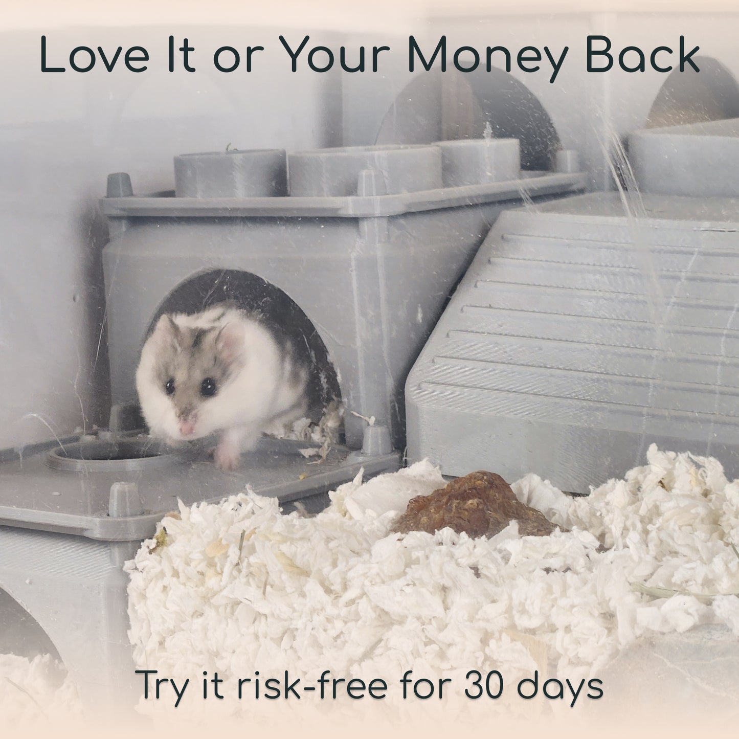 Homie Kit - Dwarf Hamsters, Mice, & Gerbils