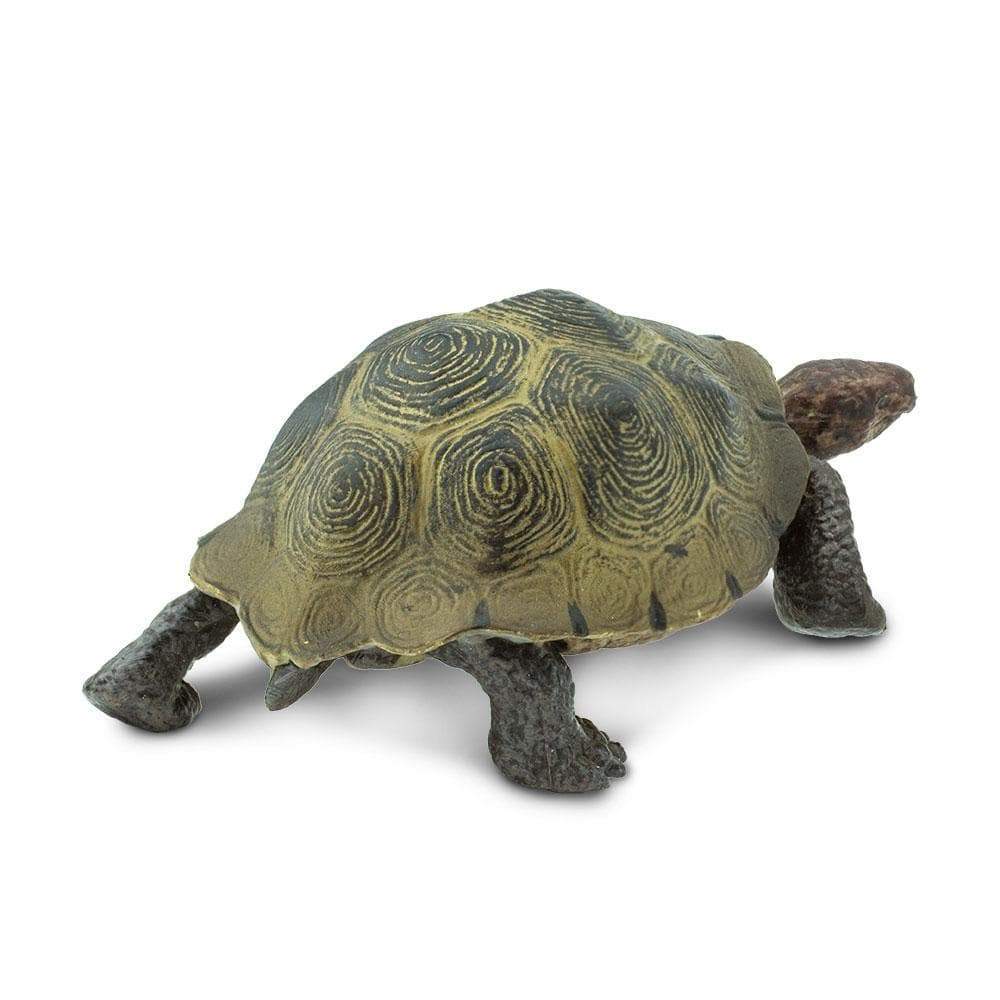Desert Tortoise Figurine
