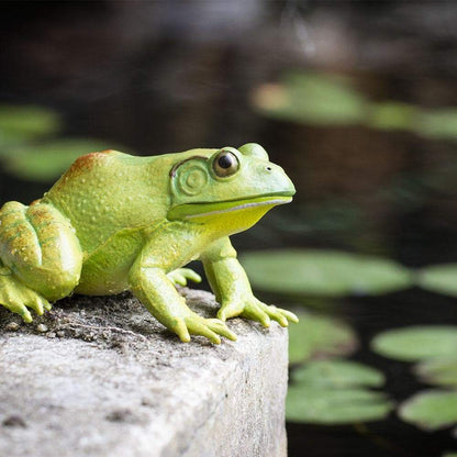 American Bullfrog Figurine