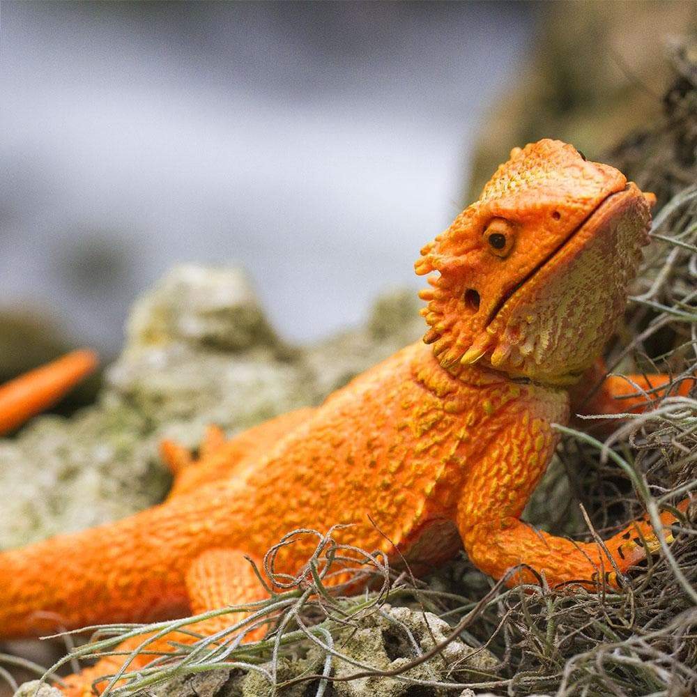 Bearded Dragon Figurine