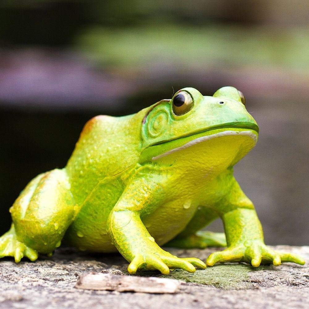 American Bullfrog Figurine