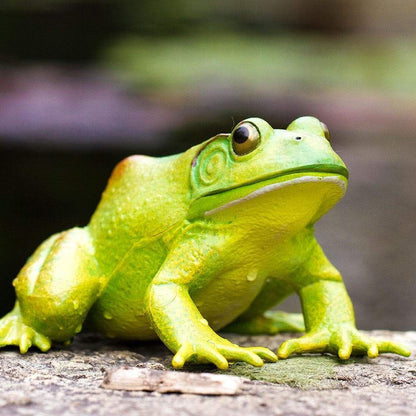 American Bullfrog Figurine