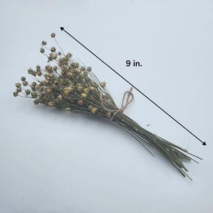 Flaxseed Spray Bundle