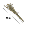 Flaxseed Spray Bundle
