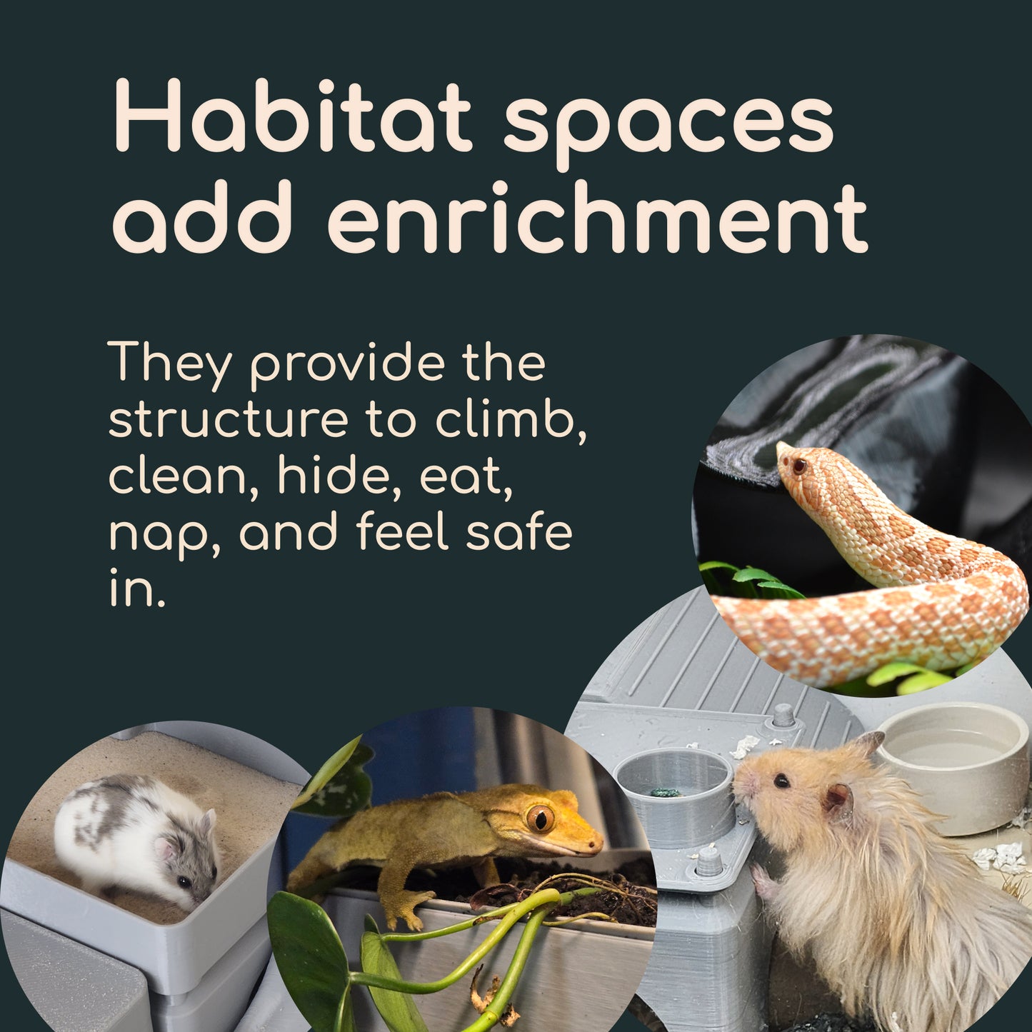 Timber Hollow - Small