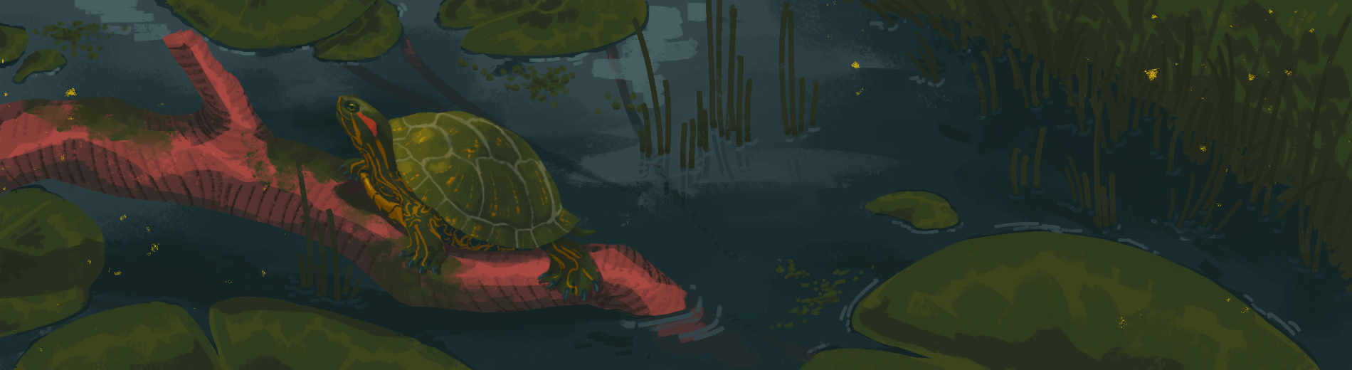 Turtle