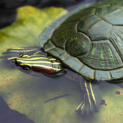 Red-Eared Slider Turtle Figurine