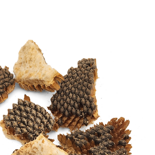 Sunflower Nibbles