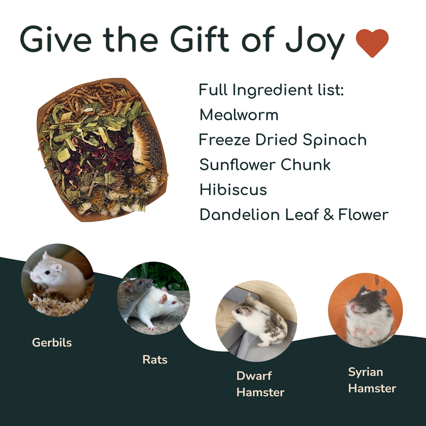 Garden Forage Mix for Rodents - Natural Foraging for Hamsters, Rats, Gerbils, and Mice