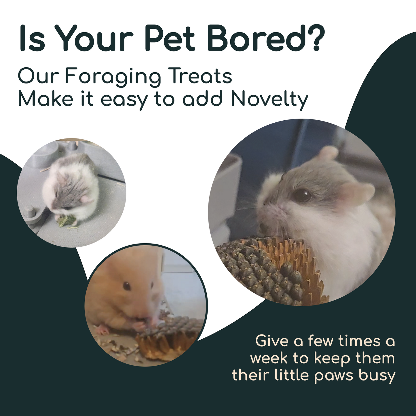 Garden Forage Mix for Rodents - Natural Foraging for Hamsters, Rats, Gerbils, and Mice