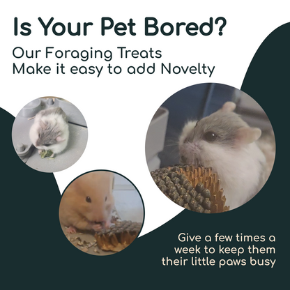 Garden Forage Mix for Rodents - Natural Foraging for Hamsters, Rats, Gerbils, and Mice