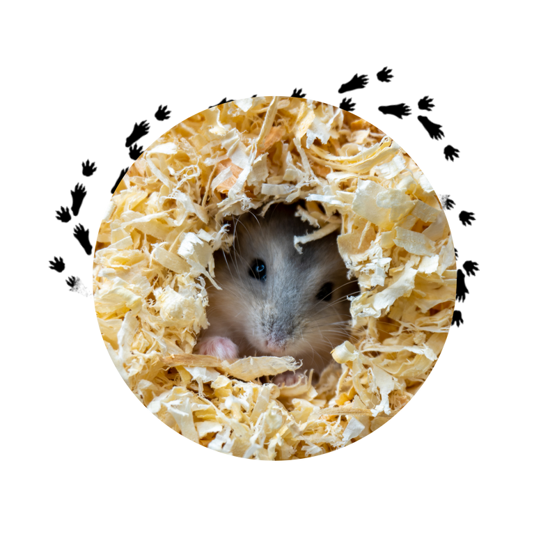 Burrowing & Digging