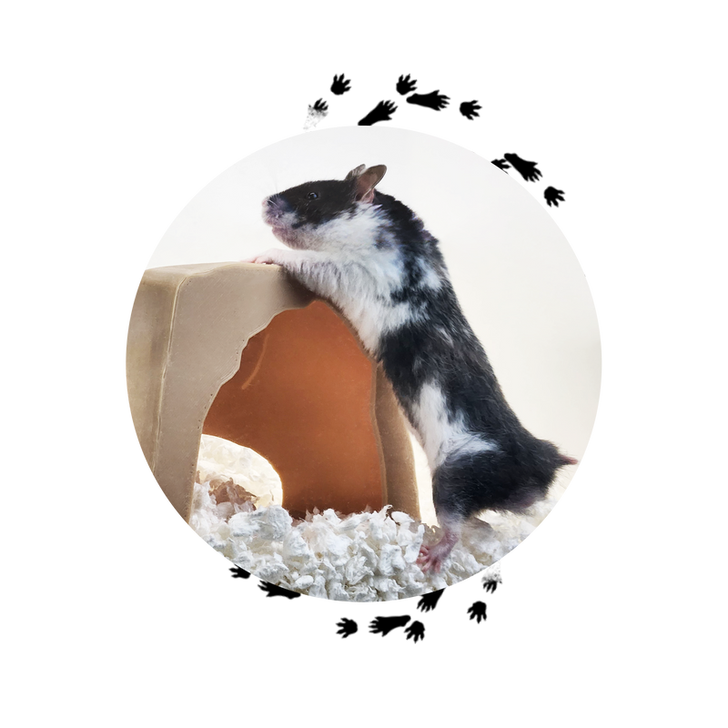 Climbing & Exploring