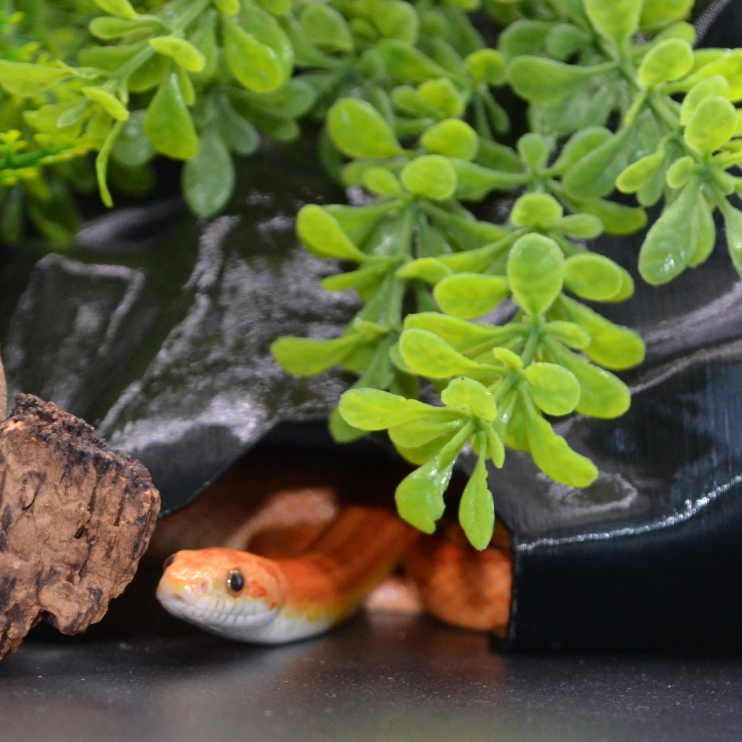 Rock Refuge Snake Hide - Small (Under 2ft)