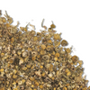 Chamomile Flower