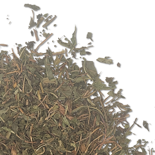 Dandelion Leaf and Stem