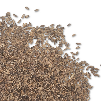 Milk Thistle Seed