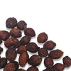 Rose Hip