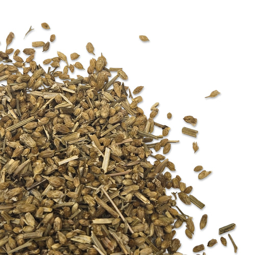Hawthorn Seed and Stem