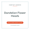 Dandelion Flower Heads