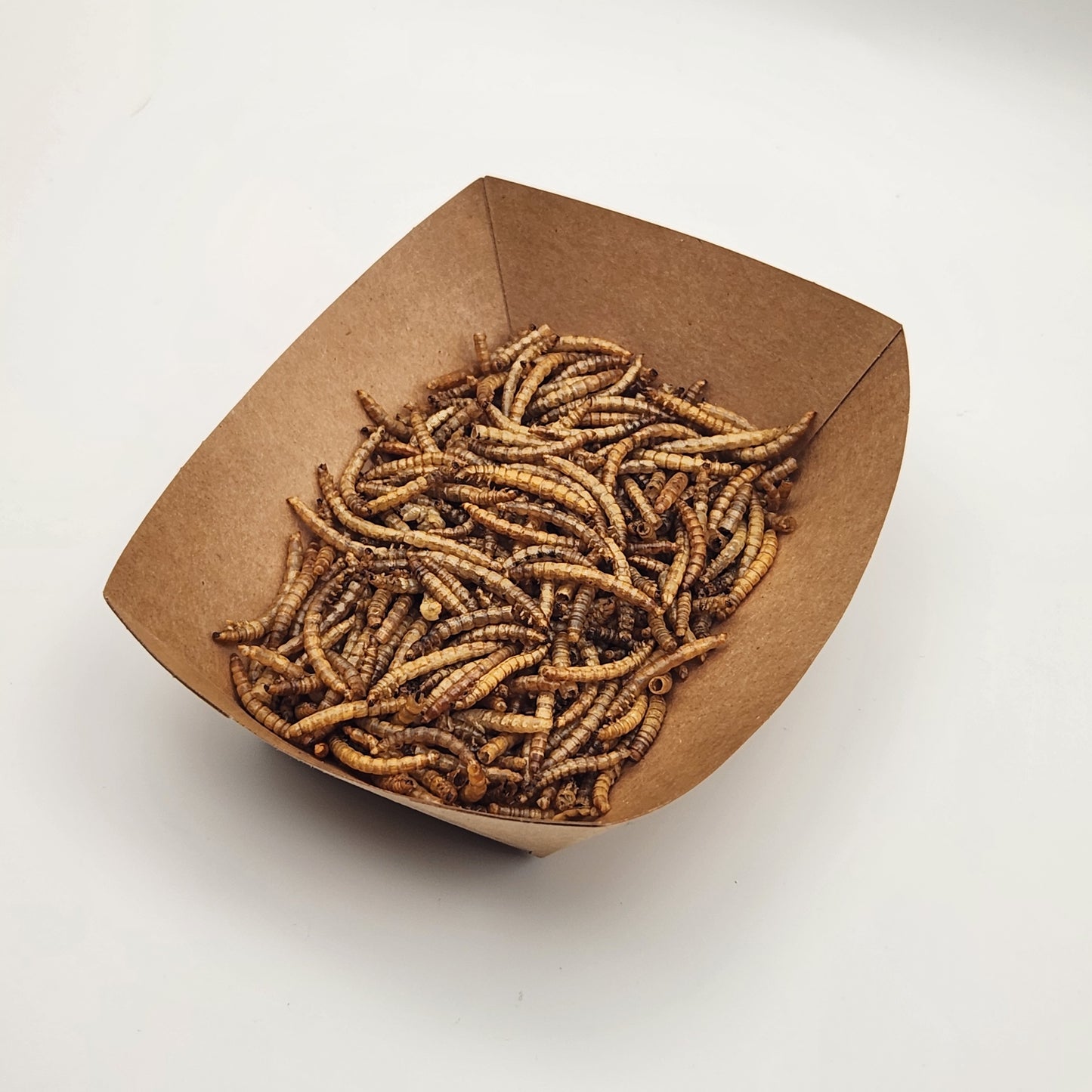 Mealworm - Freeze-Dried