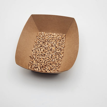 Wheatgrass Seed