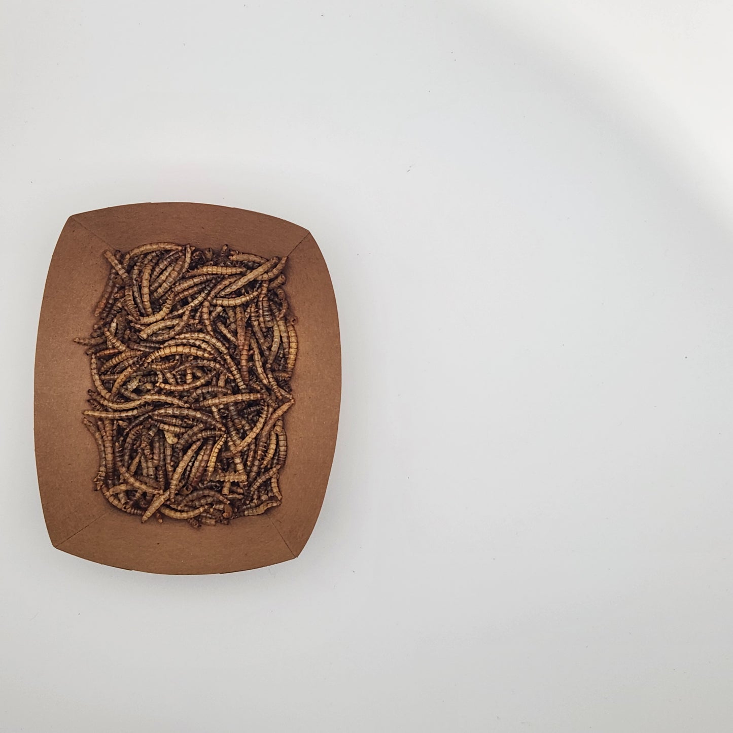 Mealworm - Freeze-Dried