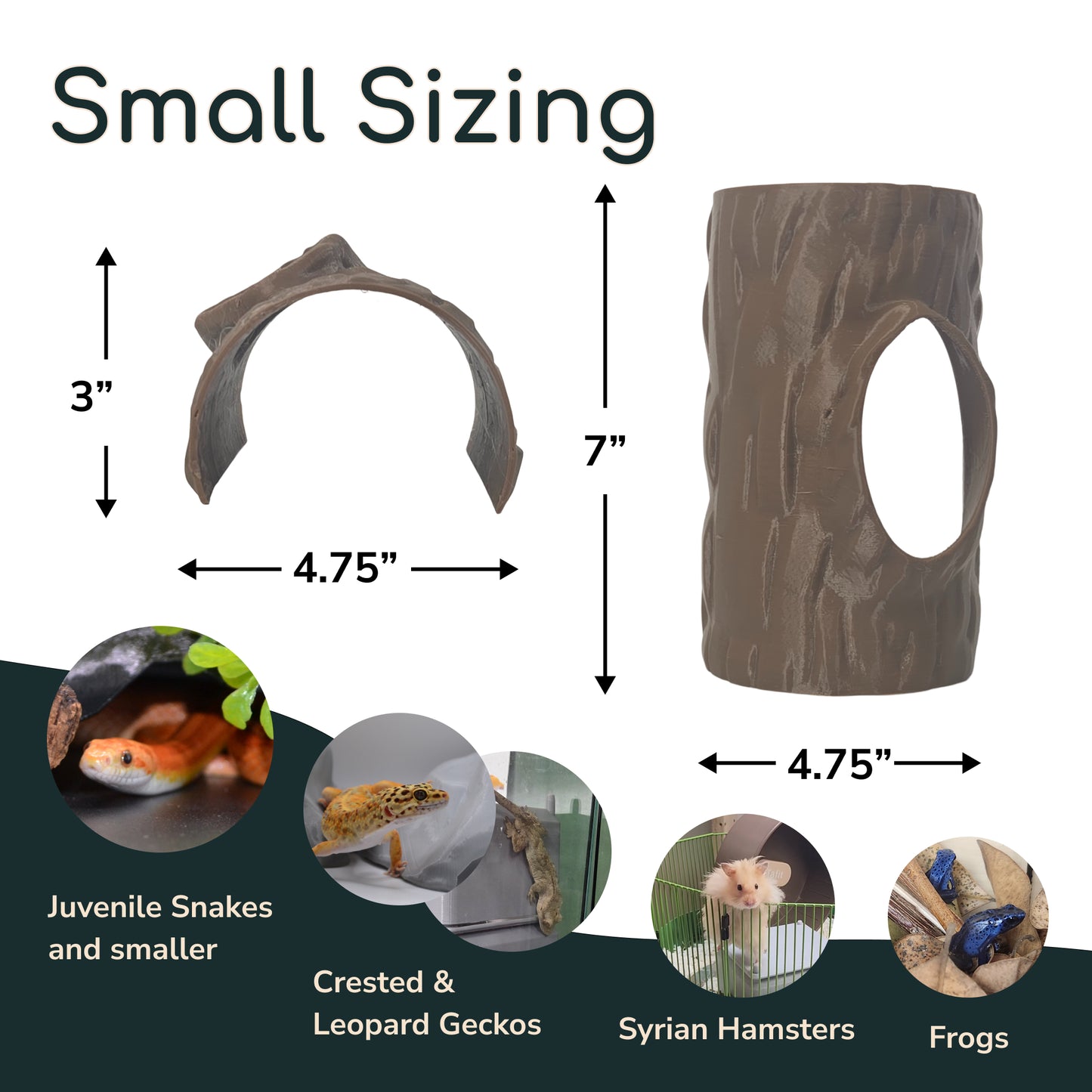 Timber Hollow - Small